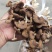 精品江西广昌县茶树菇三号菇剪脚+扎把+不包心！