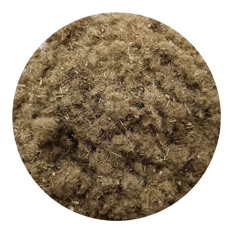 芦苇种子蒹葭保土固堤植物造纸制药端午节包粽子畜牧药用净化