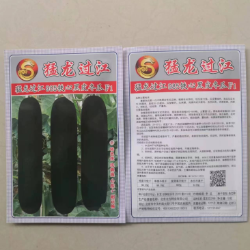 【新品】黑皮冬瓜杂交品种种植—猛龙过江985铁心冬瓜种植