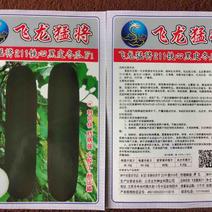 【热卖】黑皮冬瓜种子—飞龙猛将211铁心冬瓜种植技术指导
