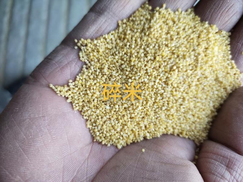 小米油糠，小米糠，饲料养殖专用，大量供应，保质保量