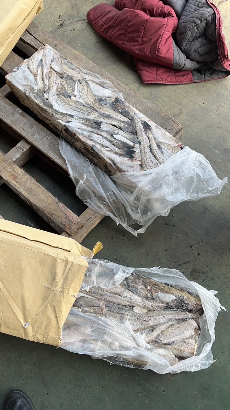 狭鳕鱼明太鱼鳕鱼原料去头去脏量大可议