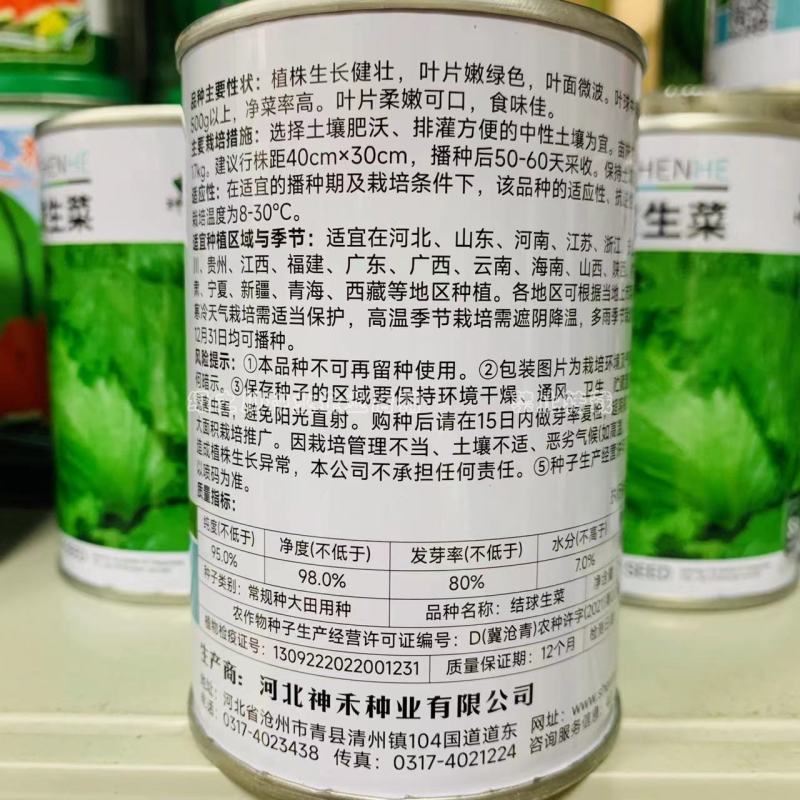 结球生菜种子净菜率高包心紧实，柔嫩可口南北方均可种植
