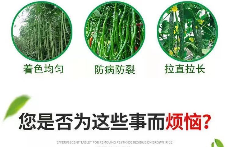 豆角黄瓜长茄子辣椒丝瓜苦瓜拉直拉长膨大增粗氨基酸叶面肥