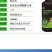 豆角黄瓜长茄子辣椒丝瓜苦瓜拉直拉长膨大增粗氨基酸叶面肥