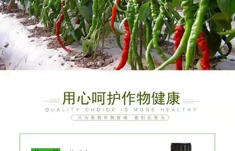 豆角黄瓜长茄子辣椒丝瓜苦瓜拉直拉长膨大增粗氨基酸叶面肥