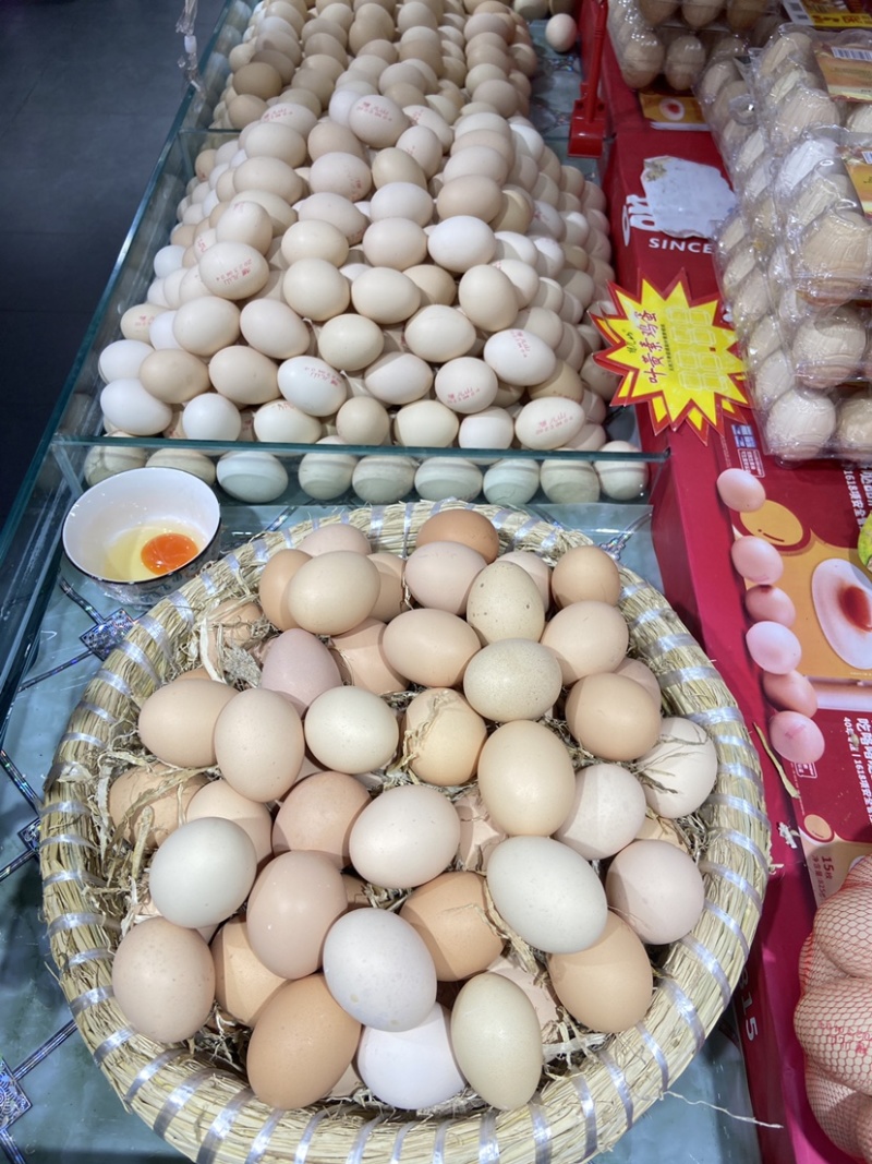 笨鸡蛋