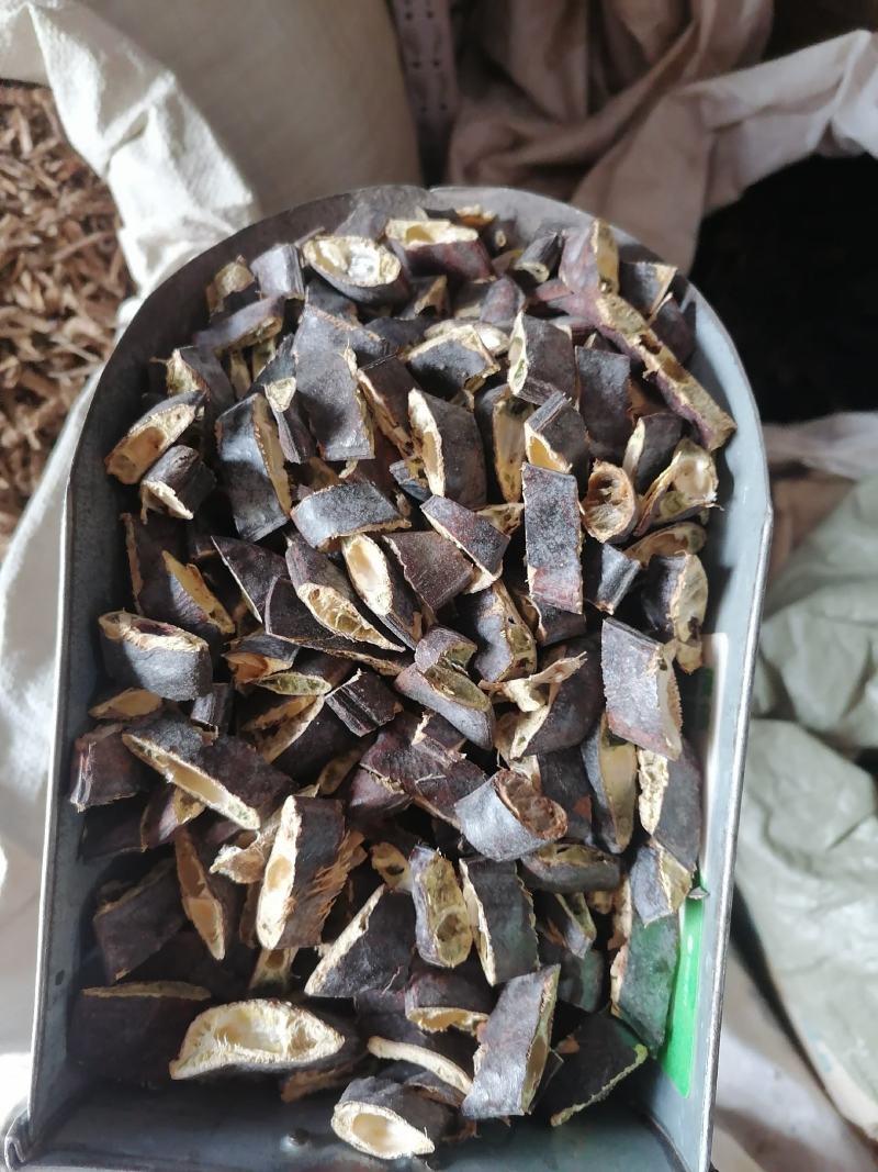 皂荚入药用的皂角猪牙皂各种规格中药材批发皂荚皂角