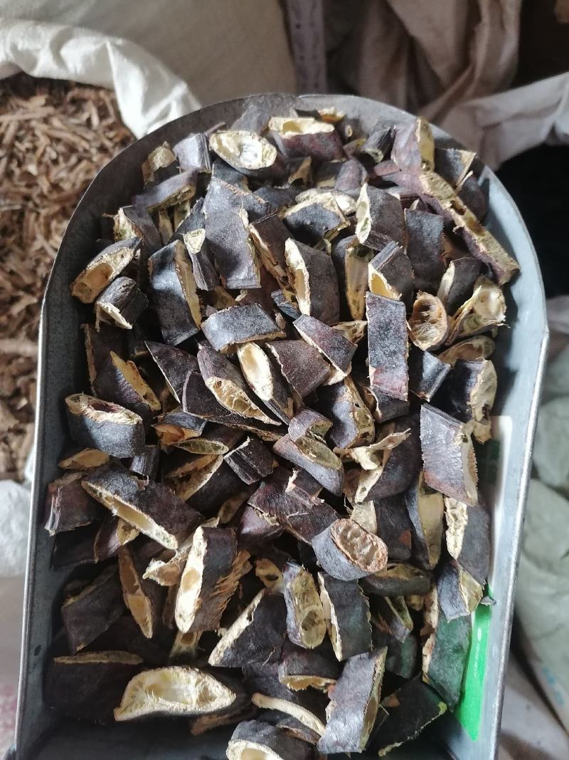 皂荚入药用的皂角猪牙皂各种规格中药材批发皂荚皂角