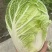 白菜