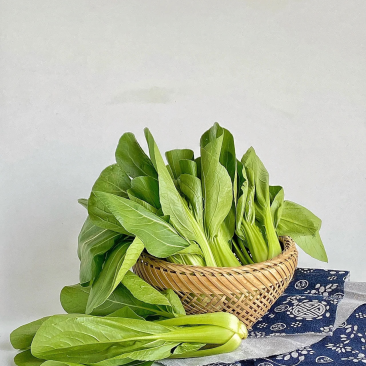 油菜/上海青/山东上海青/山东小油菜/全国发货