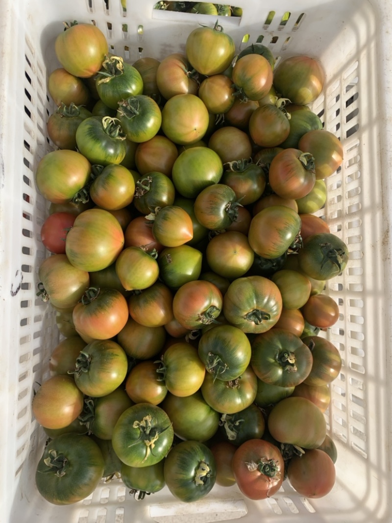 正宗草莓西红柿