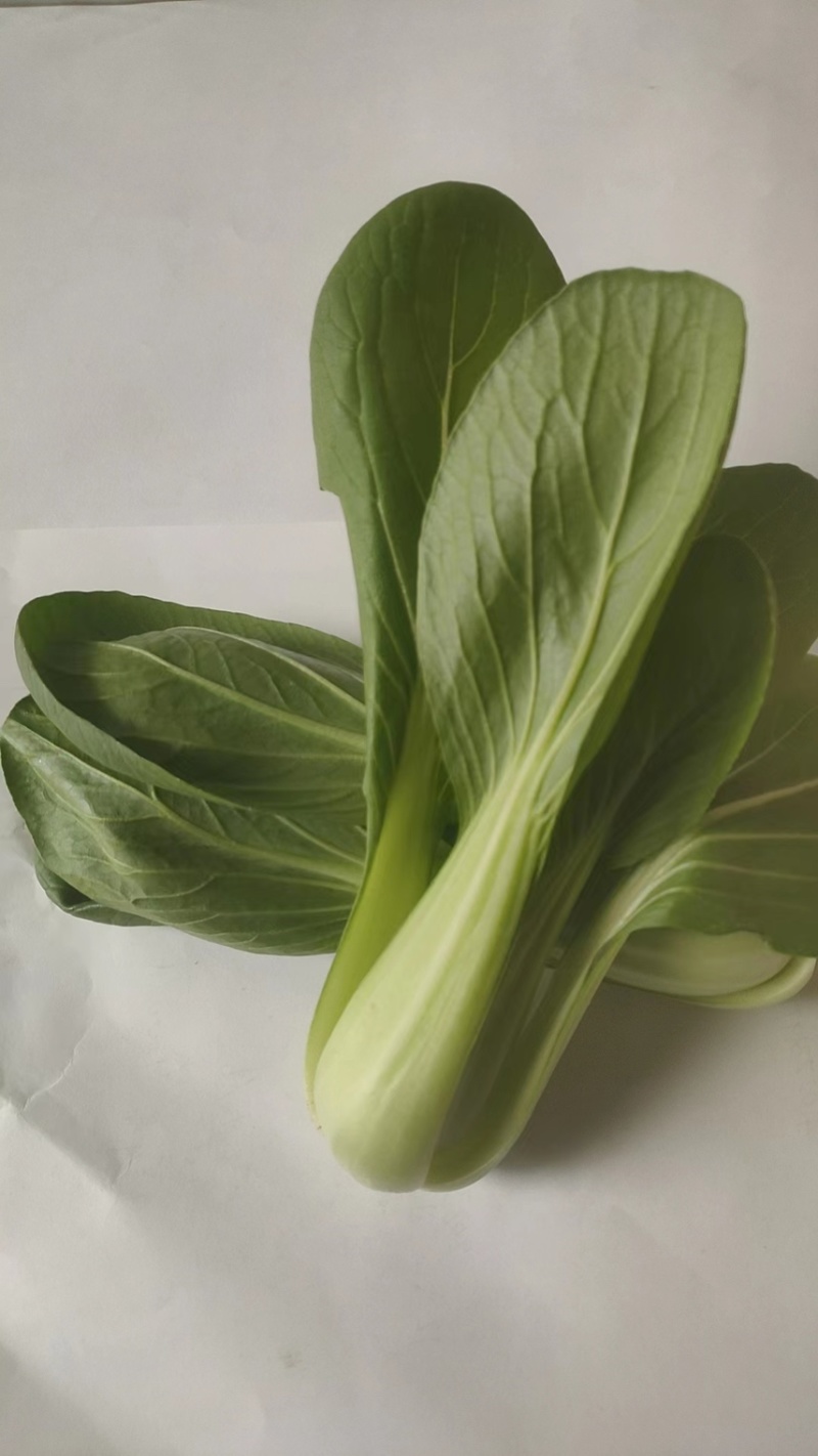 小油菜2两以上山东上海青/产地发货品质好
