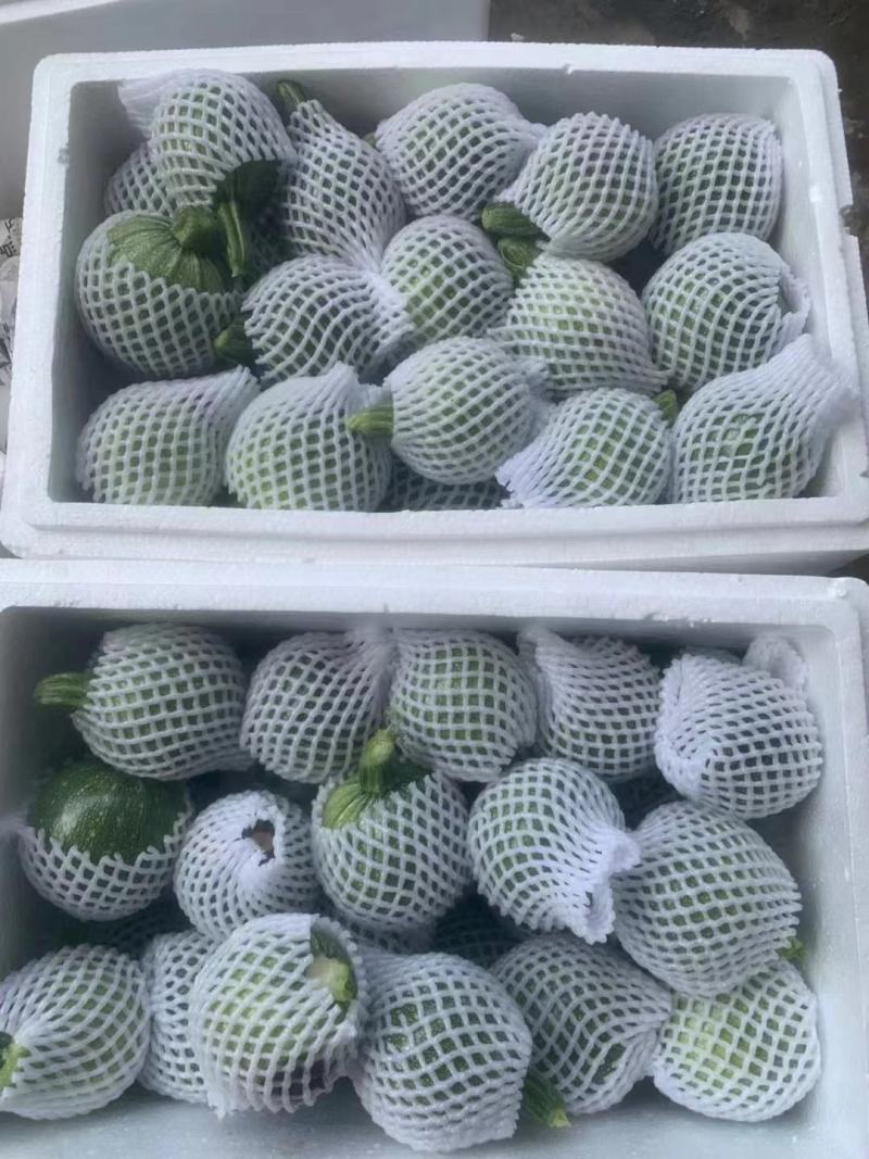 地兰瓜