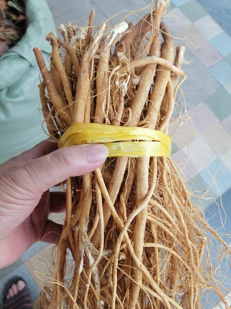 石参根，新鲜干净足干货，原产地直销