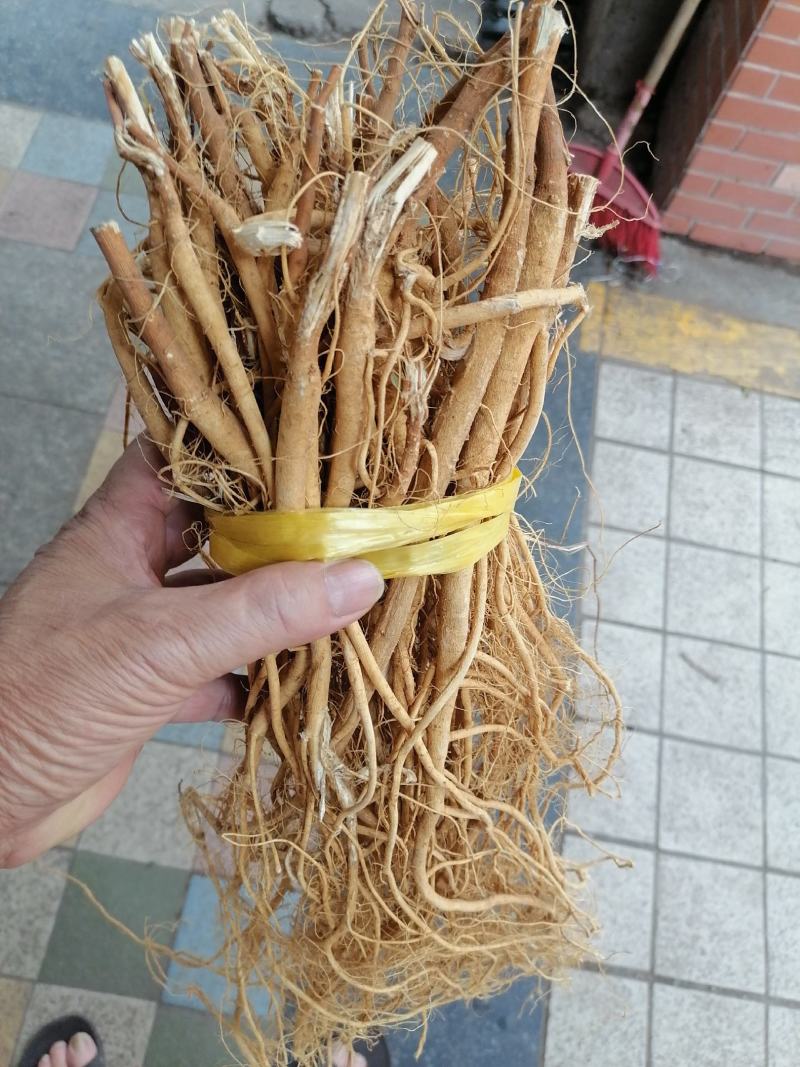 石参根，新鲜干净足干货，原产地直销
