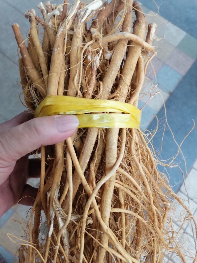 石参根，新鲜干净足干货，原产地直销