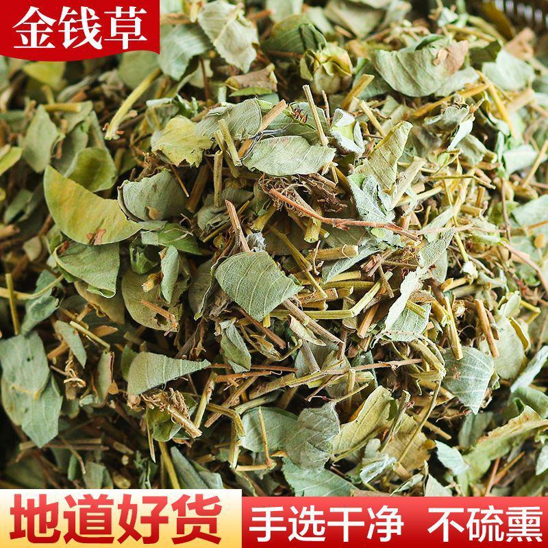 广西大叶广金钱草干新鲜泡水喝泡茶溶石鸡内金批发包邮