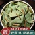 广西大叶广金钱草干新鲜泡水喝泡茶溶石鸡内金批发包邮