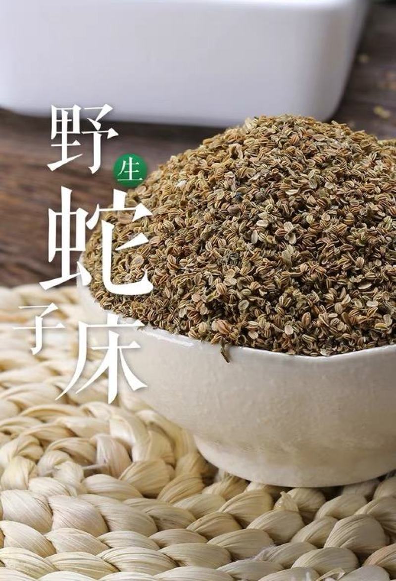 蛇床子统货产地安徽荧光点大，产地直发对接药店药厂
