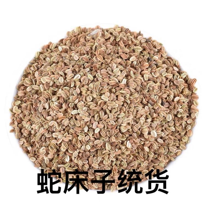 蛇床子统货产地安徽荧光点大，产地直发对接药店药厂