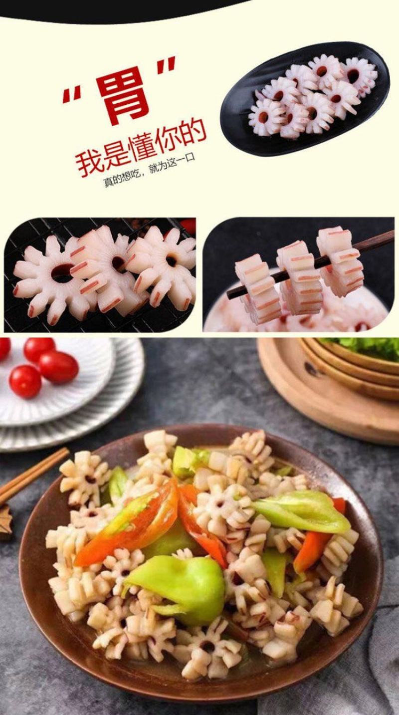 鱿鱼花鱿鱼齿轮花新鲜冷冻鱿鱼卷鱿鱼条捞汁火锅餐饮食材批发