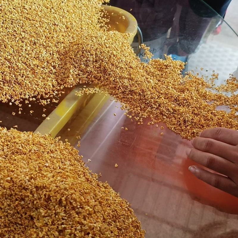 广西特产，桂花茶，大量供应，欢迎联系下单洽