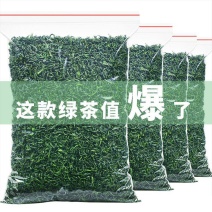 绿茶2023新茶500克高山云雾明后浓香型耐泡散装袋装
