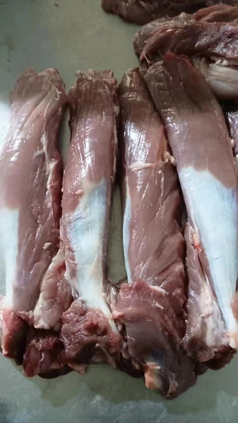 厂家直销产地直达全国各地都可以猪副产品鲜冻母猪5号肉