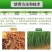 30%噻唑膦杀虫剂根结线虫药根结线虫杀菌剂根瘤线虫奇品