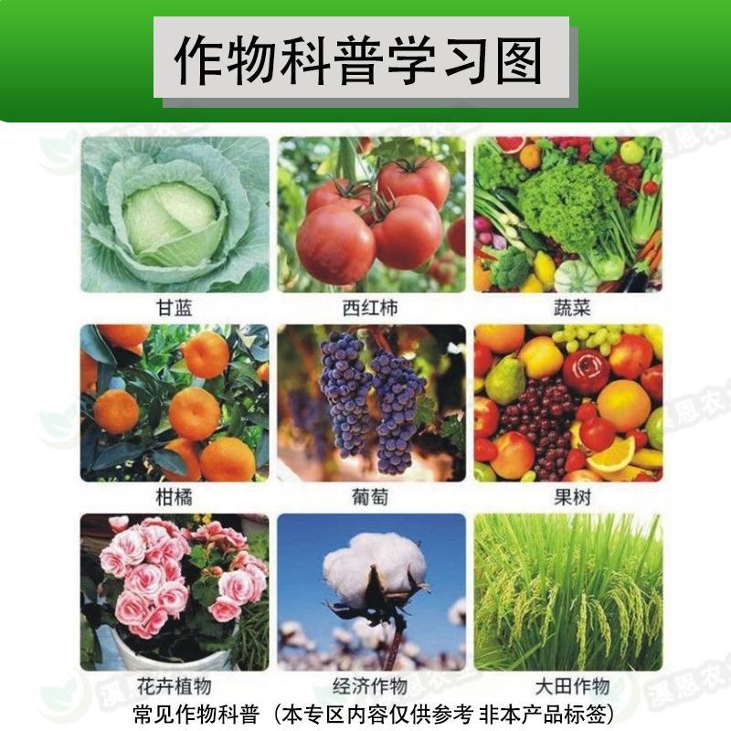 30%噻唑膦杀虫剂根结线虫药根结线虫杀菌剂根瘤线虫奇品