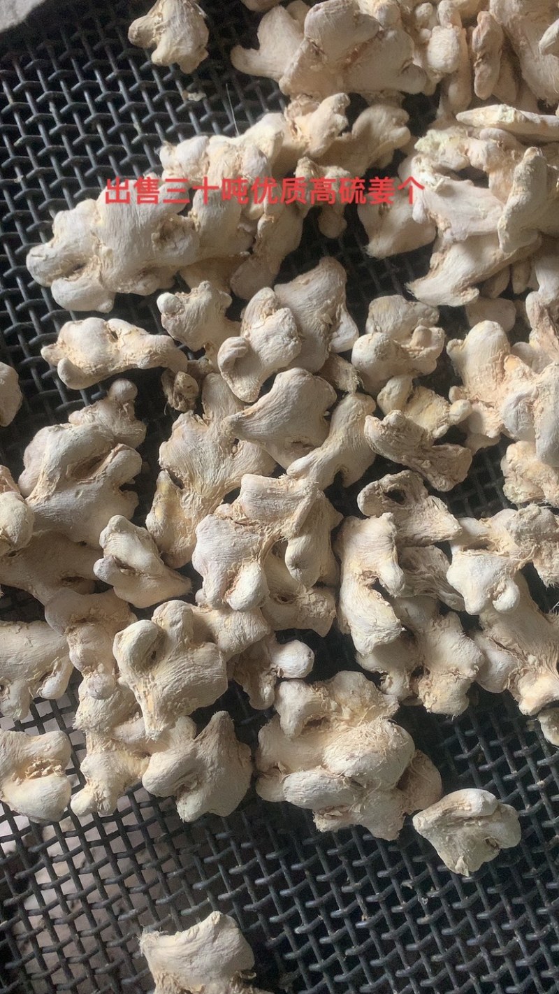 云南罗平板桥干姜个