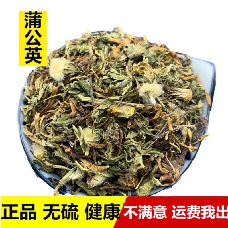 中药材蒲公英切碎蒲公英带根干婆婆丁蒲公英500g多规