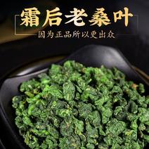 桑叶茶精选新鲜霜后桑葚叶子正宗桑树叶炒制可搭配菊花蒲公英