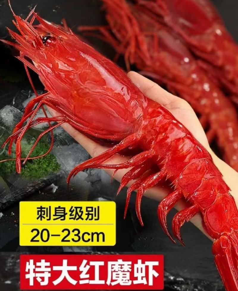 加工厂直销红魔虾