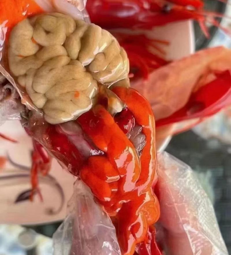 加工厂直销红魔虾