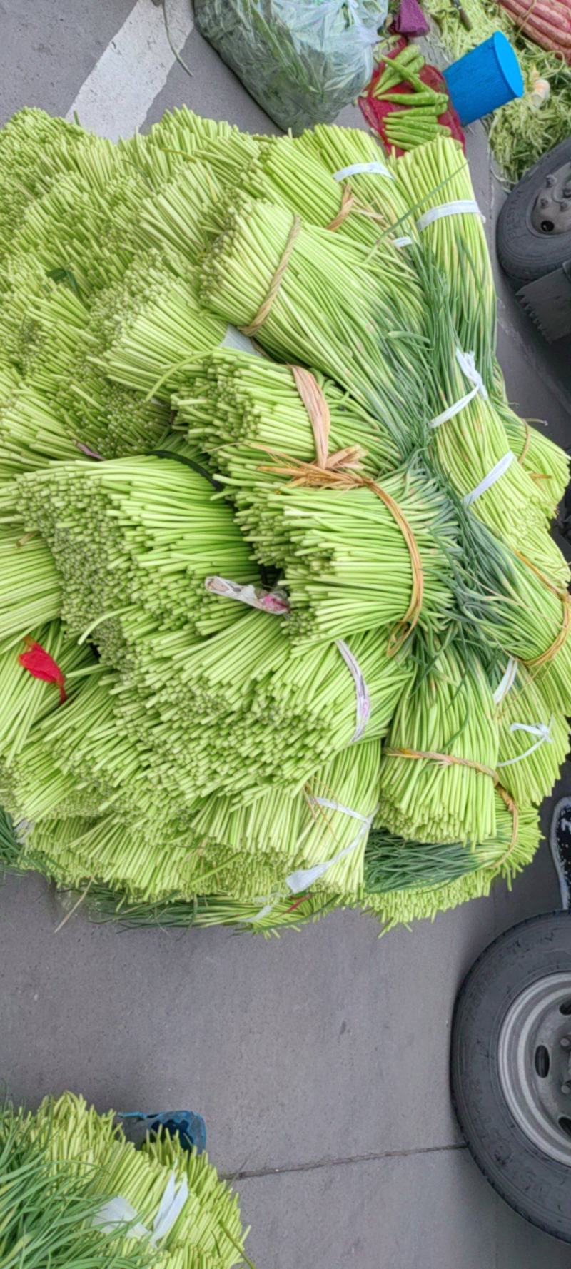 邳州红帽蒜苔大量上市了