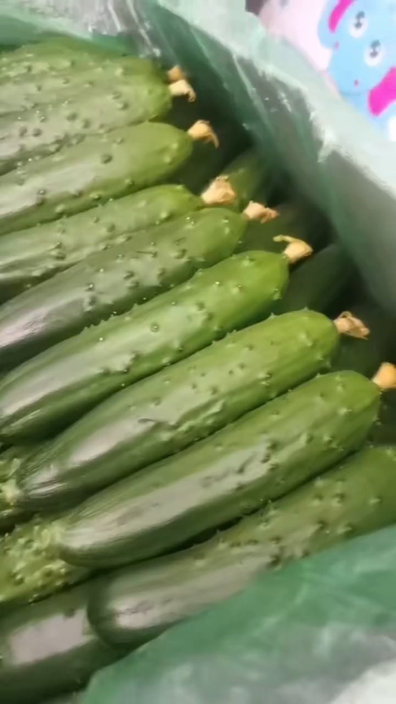 旱黄瓜