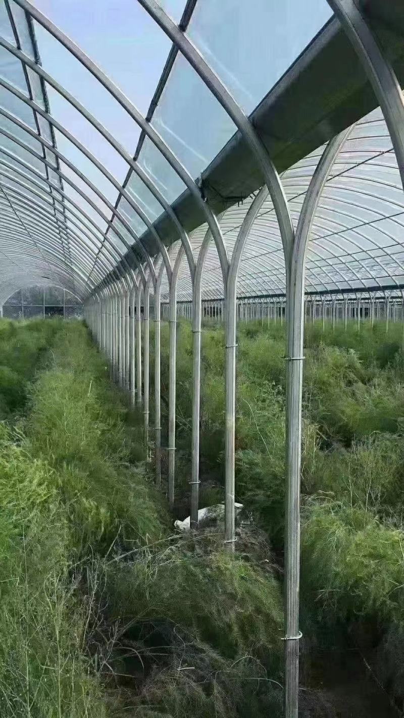 大棚管，大棚钢管，镀锌钢管，钢管