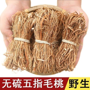 河源五指毛桃根正宗七指毛桃牛奶树根产地批发味道香浓煲