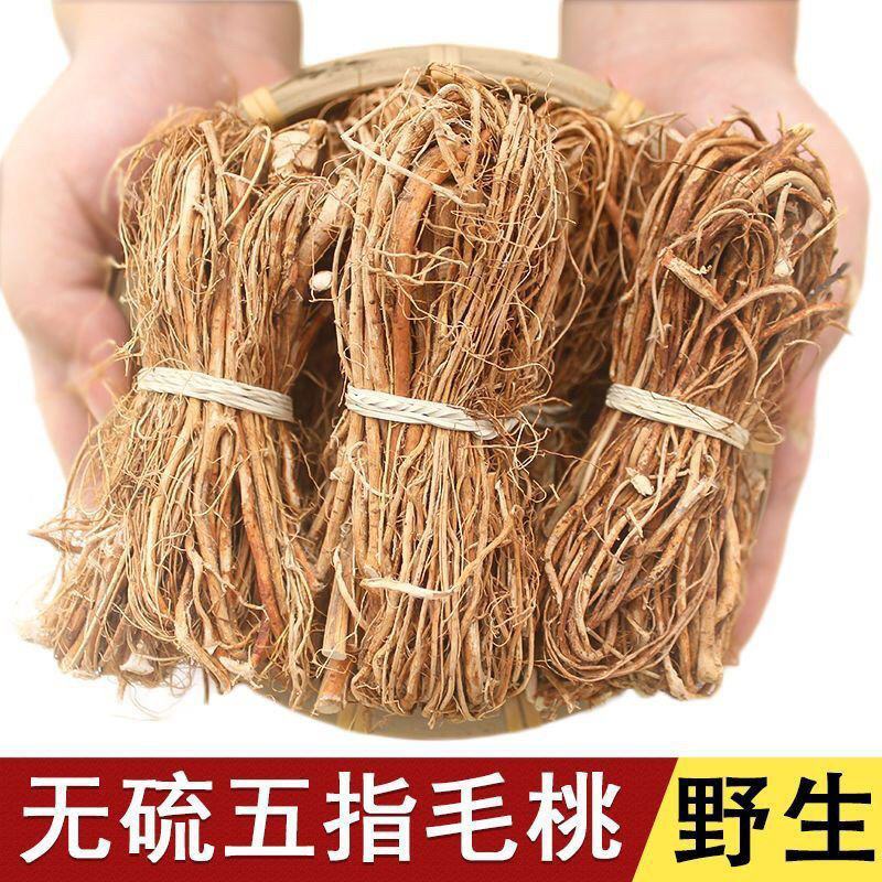 河源五指毛桃根正宗七指毛桃牛奶树根产地批发味道香浓煲