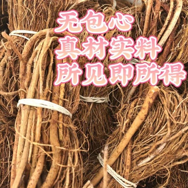 河源五指毛桃根正宗七指毛桃牛奶树根产地批发味道香浓煲