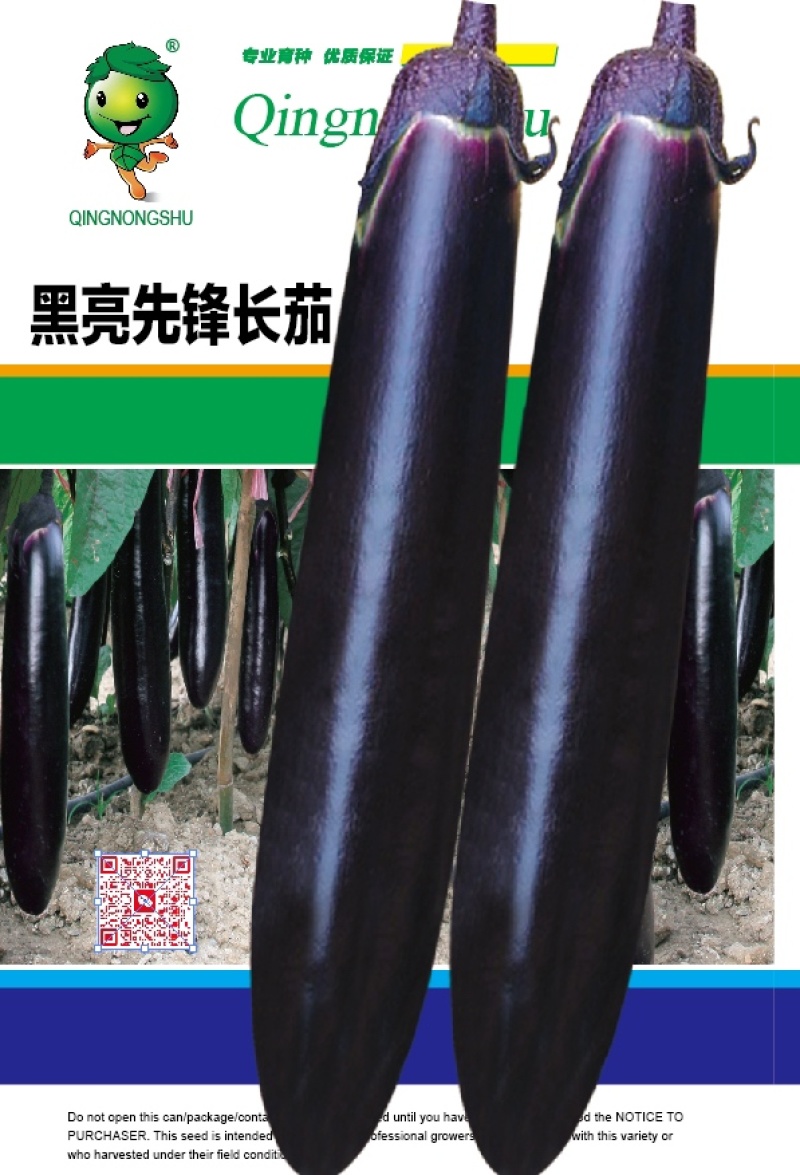 【优质】球形巨无霸超亮黑将军大黑色油亮茄子种子