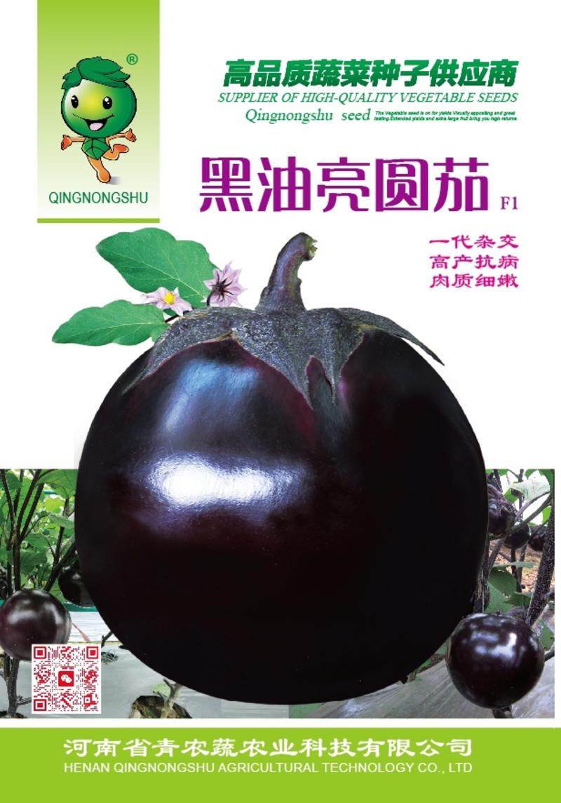 【优质】球形巨无霸超亮黑将军大黑色油亮茄子种子