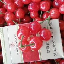 黄河故道安徽砀山露天石榴红，小樱桃，色鲜味甜，质优价廉！