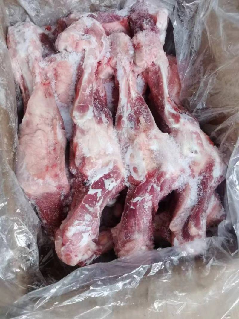 多肉前腿骨