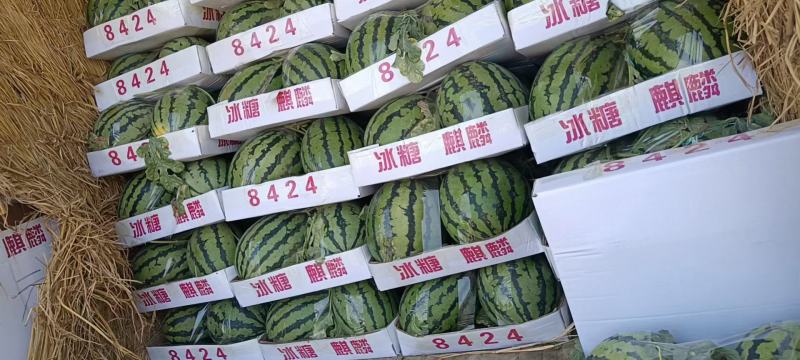 甜王西瓜产地山东聊城许营镇西瓜之乡甜王系列产品全