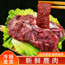 新鲜鹿肉梅花鹿大块肉速冻量大从优