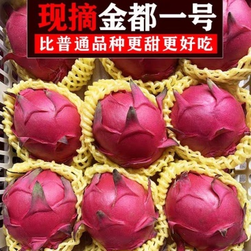 火龙果/红心火龙果/海南红心火龙果/京都一号/圆胖子