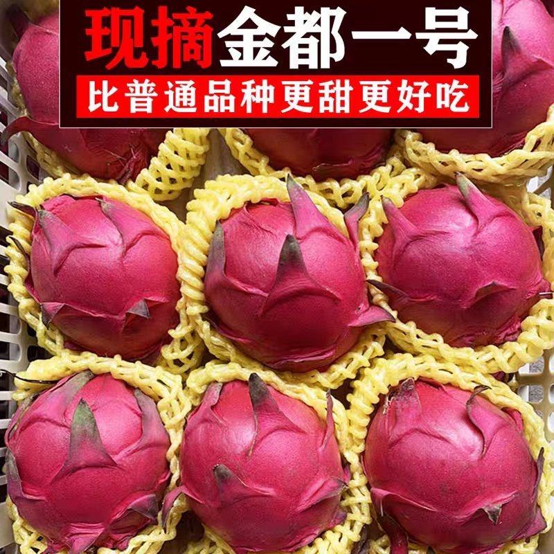 火龙果/红心火龙果/海南红心火龙果/京都一号/圆胖子
